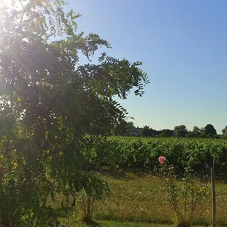 Villa Le Soleil en Gironde à Vrillant Extérieur photo
